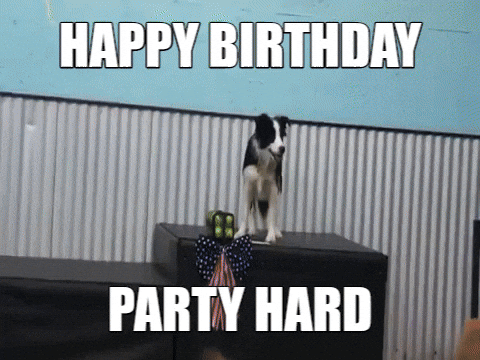 Happy Birthday Party Hard GIF