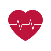 Mvpfitnesscourt Sticker by MVP Health Care