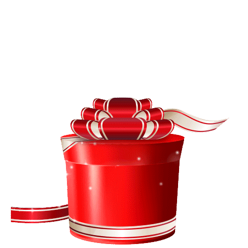 New Year Christmas Sticker by Ansaligy