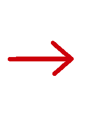 Arrow Seta Sticker by SC Braga