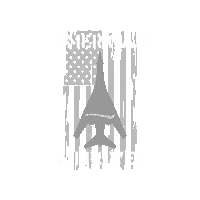 American Usa Sticker by RampCheckGlobal