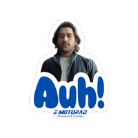 e_motorad  Sticker