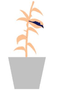 Plant Grow Sticker by bloomscape