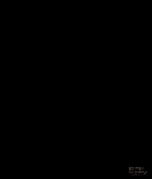 Cow Alibaba GIF