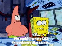 season 4 GIF by SpongeBob SquarePants