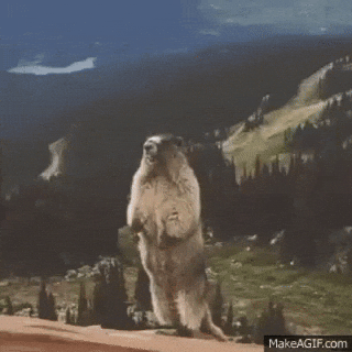 Flatline420  GIF
