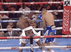 toprank fight fighting espn fighters GIF