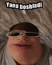 Kot GIF