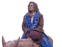 Hallmark Channel Horse Sticker