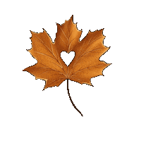 artolejnik autumn october leaves helloween Sticker