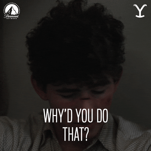 GIF by Yellowstone