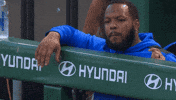 Blue Jays Baseball GIF by Toronto Blue Jays
