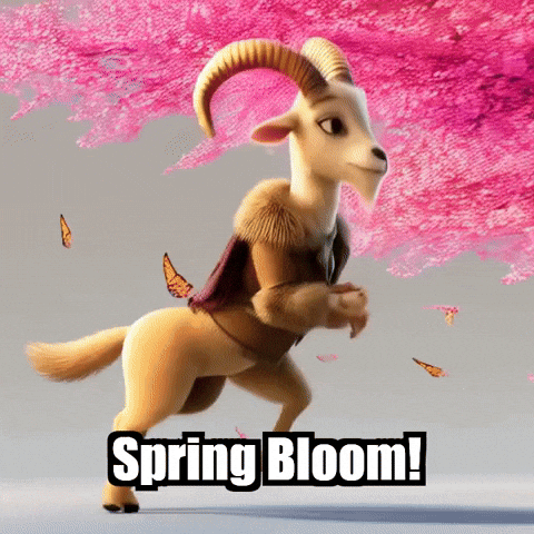 Spring Blossom GIF by Radiantelope