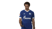 football soccer Sticker by Bundesliga