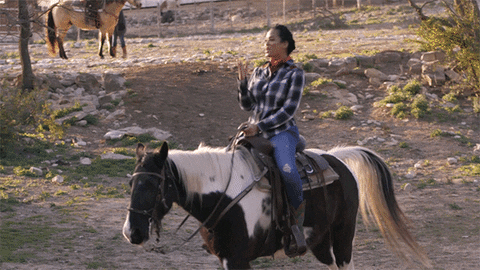 love & hip hop horse riding GIF by VH1