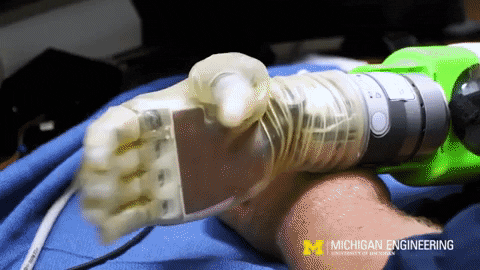 Futurity giphygifmaker hands research prosthetics GIF