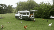 GIF by NZH Travel