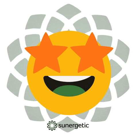 Suner GIF by Sunergetic