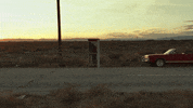 Country Music Police GIF by Shaboozey