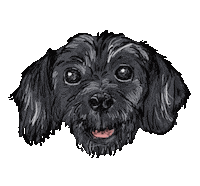 Dog Sticker