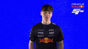 Red Bull Sr GIF by Oracle Red Bull Racing