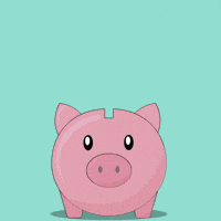 Money Saving GIF by Pudgy Penguins