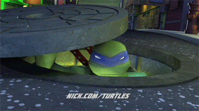 ninja turtles nickelodeon GIF