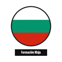 Flag Bandera Sticker by Formación Ninja