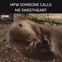 Wildlife Bbciplayer GIF by BBC