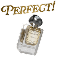 Shopee Parfum Sticker by Morris Parfume