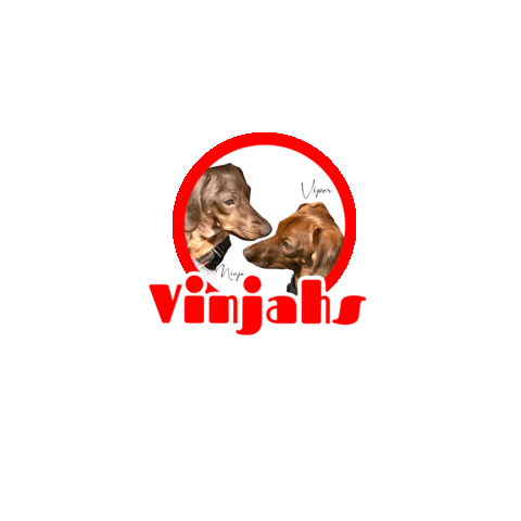 Vn1 Sticker by Pimp Yo Pets