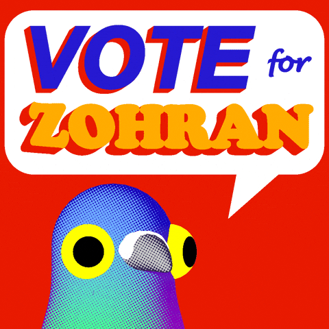 Democratic Socialist Bird GIF by abj.world