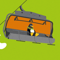 Penguin Adventure GIF by Grupa Pingwina