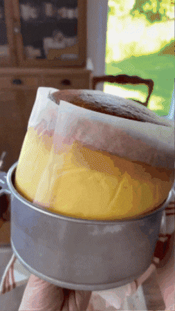 yasminaconygriega giphygifmaker GIF