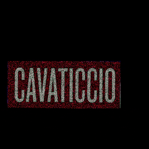 cavaticcio giphygifmaker cavaticcio cavaticcio19 GIF
