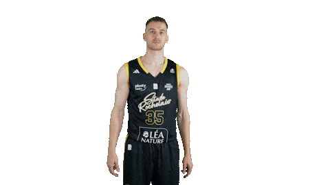 Basket Sticker by Stade Rochelais