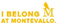 Higher Education Vallo Sticker by University of Montevallo
