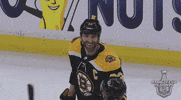 Ice Hockey Hug GIF by NHL