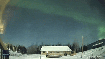 Colors Aurora GIF by Storyful