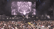 of monsters and men governors ball GIF by GOVBALL NYC