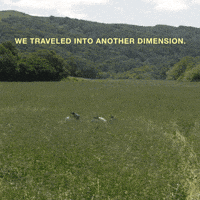 brit marling netflix GIF by The OA