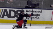 Ice Hockey Sport GIF by NHL