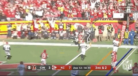 Kansas City Chiefs Football GIF by NFL