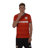 I Love You Kiss Sticker by Bayer 04 Leverkusen