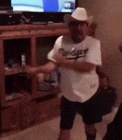 World Series Dance GIF