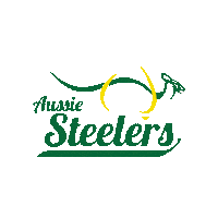 Pittsburgh Steelers Sticker by SoftballAustralia