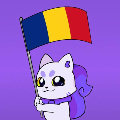 Cluj-Napoca Flag GIF by Lucky Kat Studios