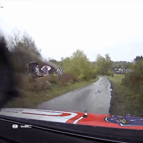 Fail Drive By GIF by FIA World Rally Championship