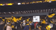 Regular Season Football GIF by NFL