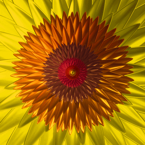 Flower GIF by Feliks Tomasz Konczakowski
